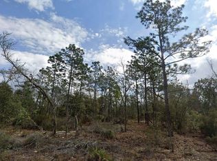 Park St Lot 16, Interlachen, FL 32148