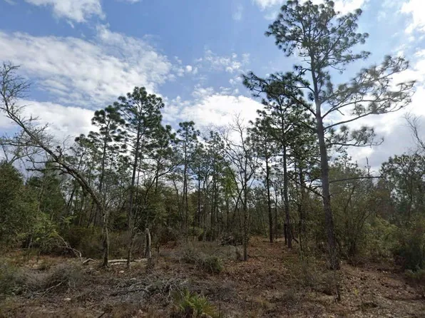 Park St Lot 16, Interlachen, FL 32148