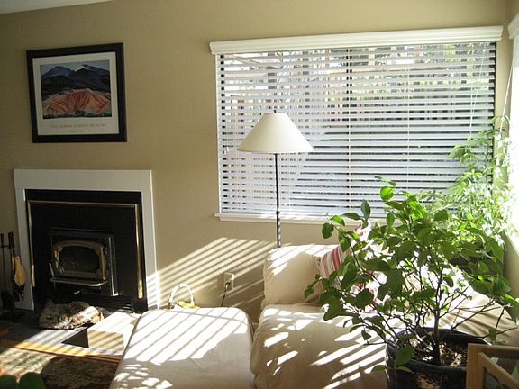 Light-filled Living Room