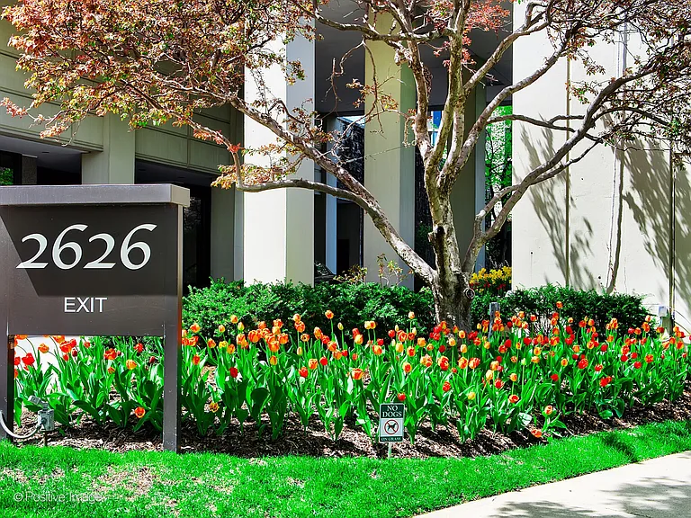 2626 N Lakeview Ave #804 — Photo 19
