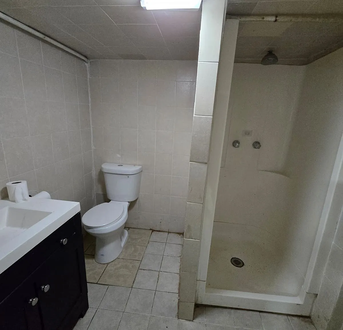 1 bed, $1,150 — Photo 3