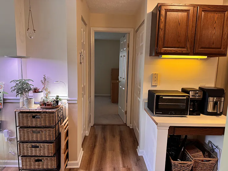 Hallway to Bedroom 2 (Master)