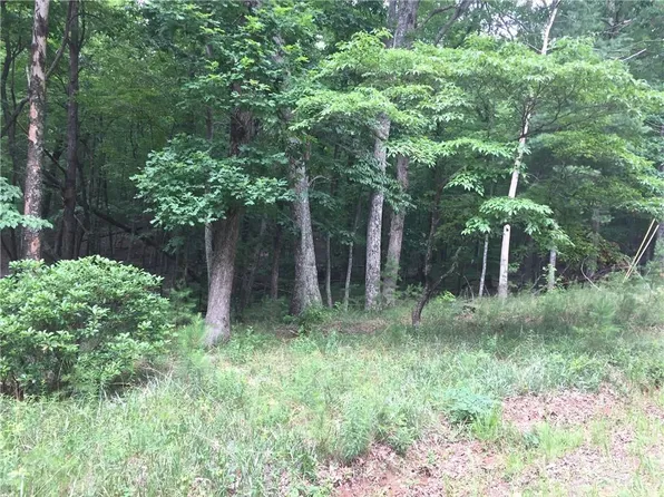 0 Buckeye Trl #46, Jasper, GA 30143