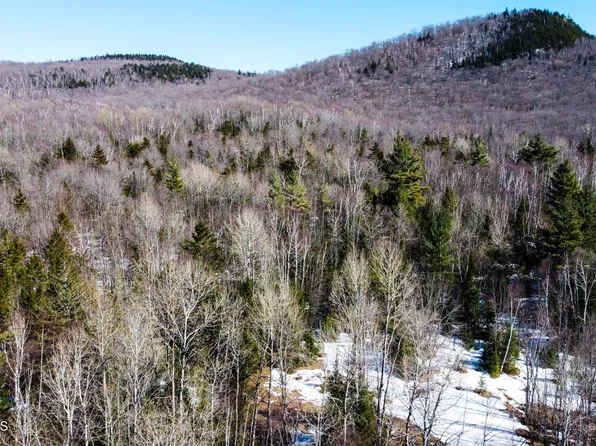 00 Old Farm Road, North River, NY 12843