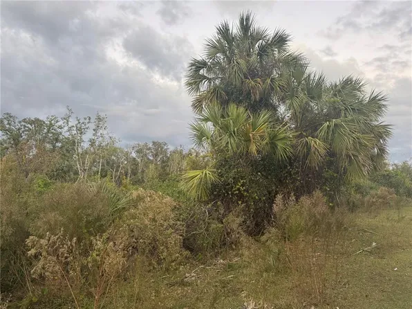 SW Adventure Way, Arcadia, FL 34266