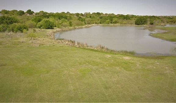 Direct view to pond
