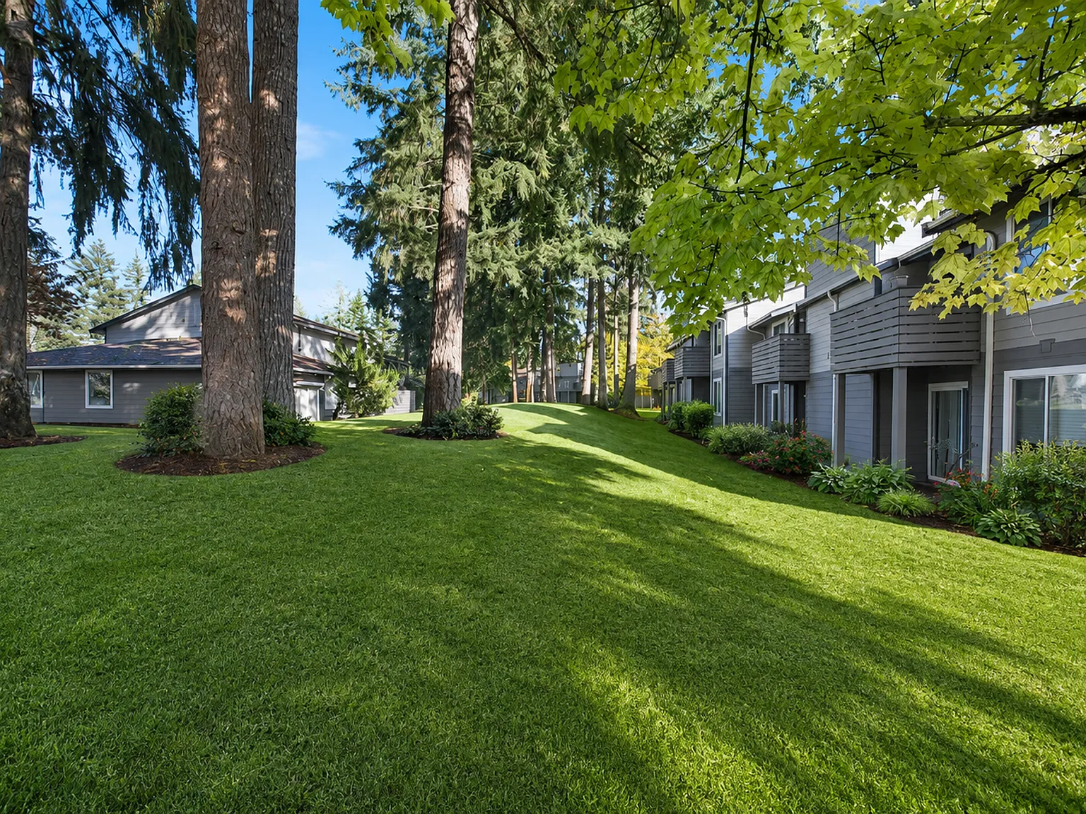 Sherwood Glen — Photo 3