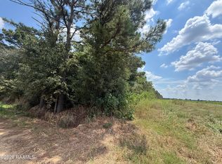Galou Lake Rd, Mamou, LA 70554