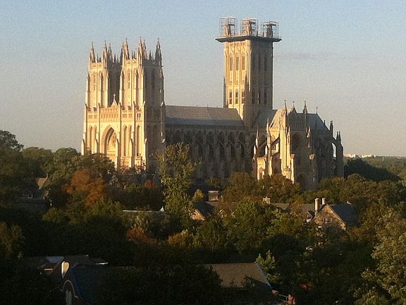 view from rooftop deck