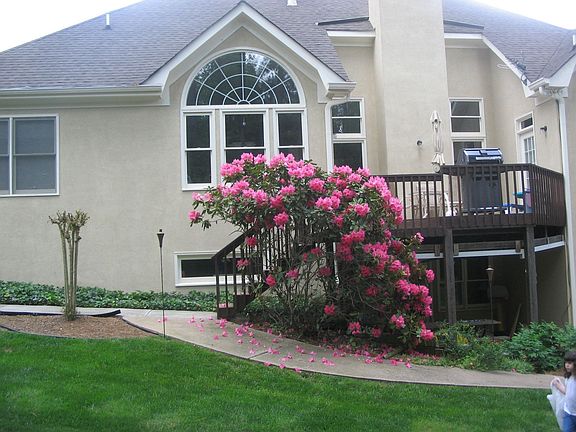 Partial Back of House