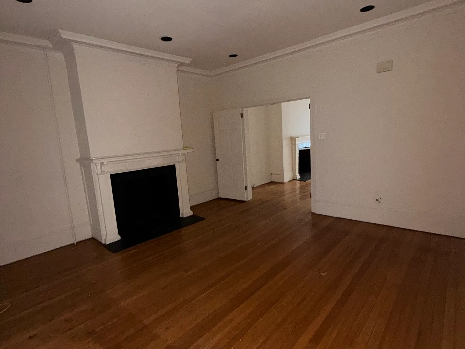 1 bed, $1,450 — Photo 3