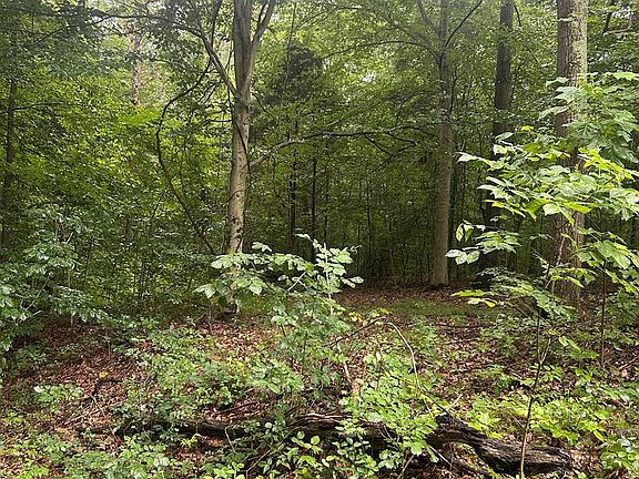 2nd image of 0 W County Road 750 S