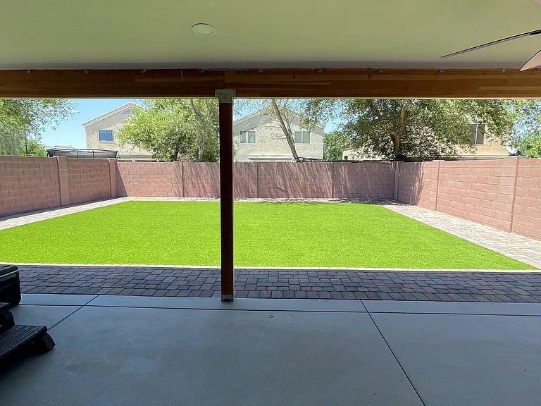 Backyard