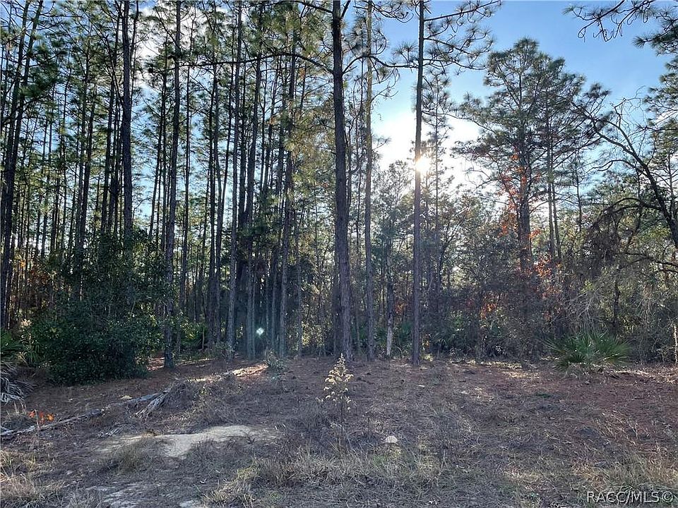 1st image of 5552 N Mesa Point