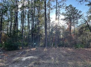 5552 N Mesa Point, Beverly Hills, FL 34465