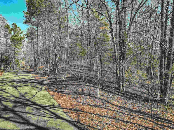 LOT 138 Creek Ridge Cv, Parsons, TN 38363