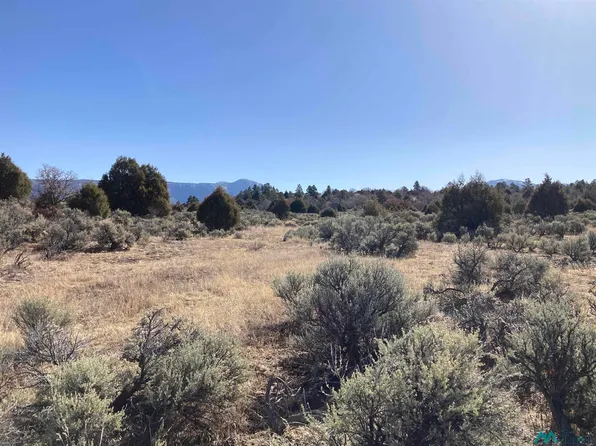 Tierra Grande Lots 24 52 #53, Tierra Amarilla, NM 87575