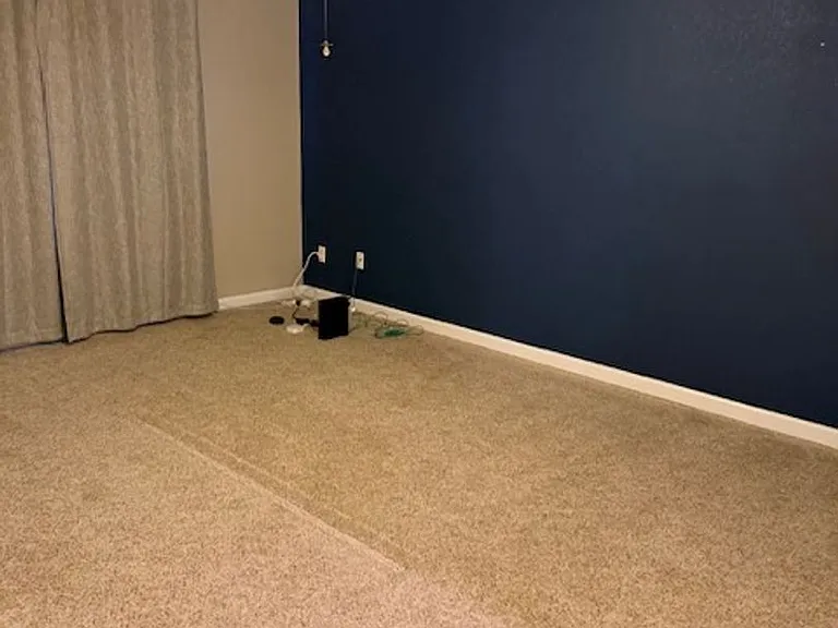 10 White Lily Ct — Photo 22