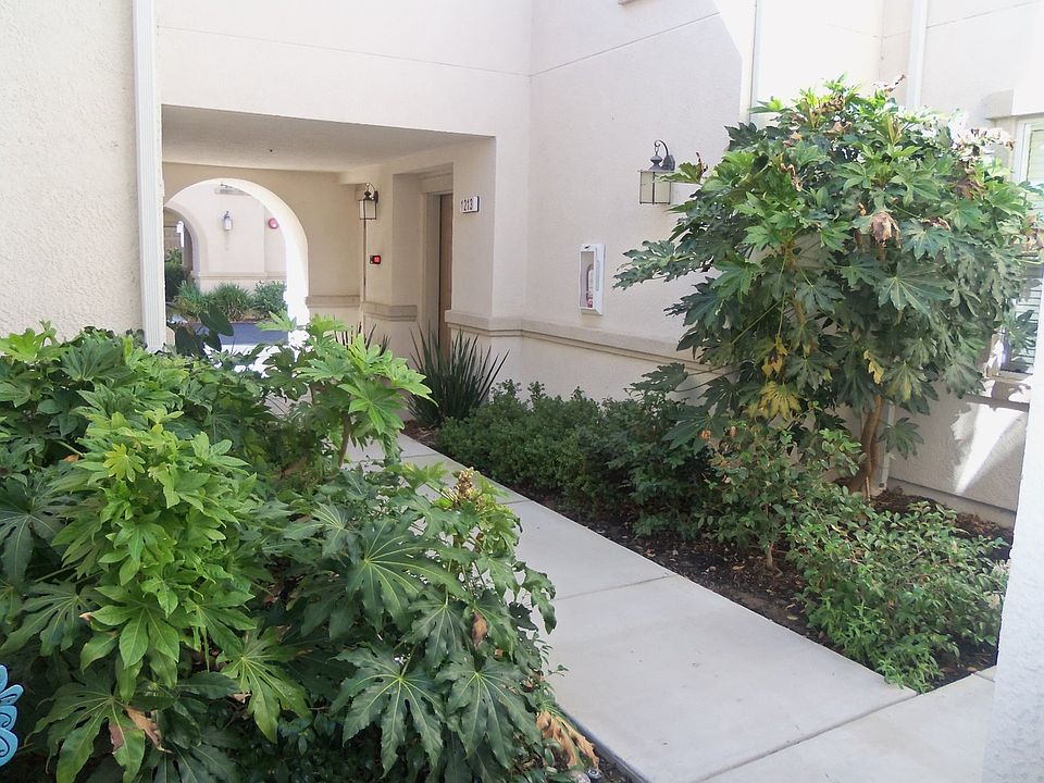 1st image of 3301 N Park Dr Unit 1215