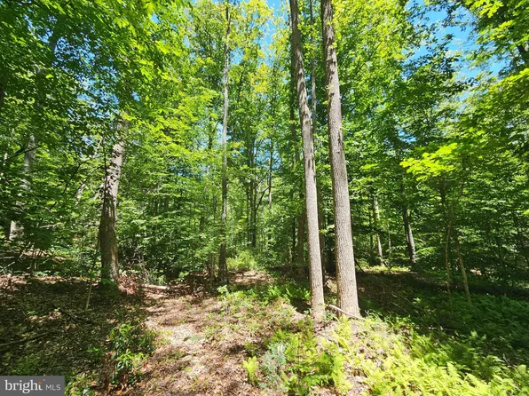 Manteo Rd, Buckingham, VA 23921