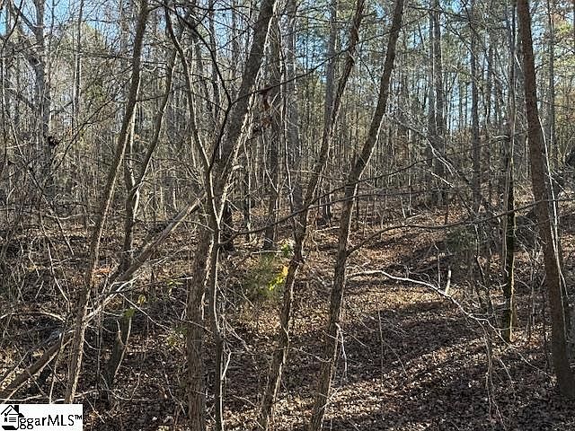 2nd image of 0 Deaton Ln