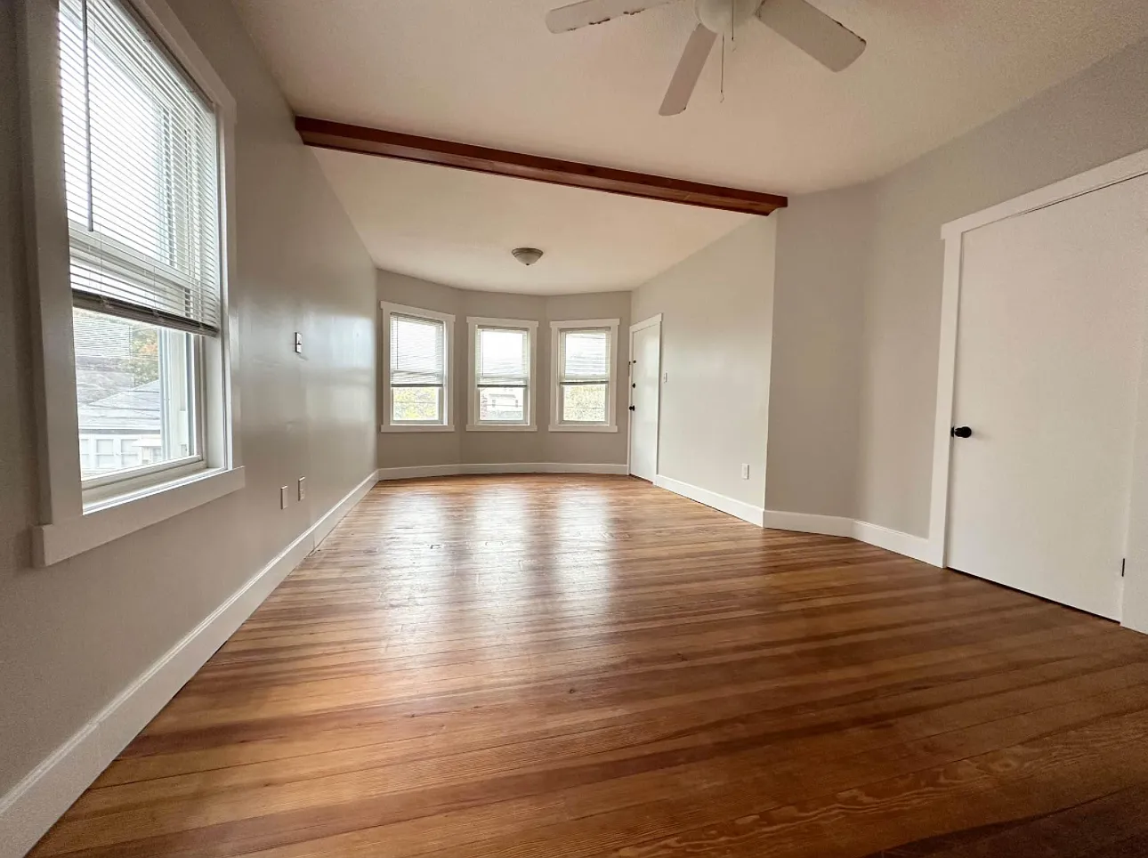 1 bed, 800 sqft, $1,600 — Photo 3