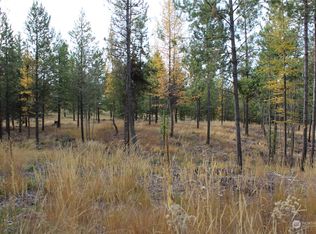 0 Stage Coach Trl, Riverside, WA 98849