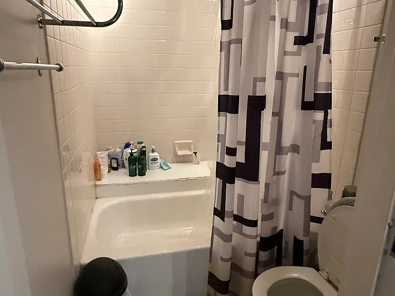 200 N Dearborn St #3204 — Photo 8