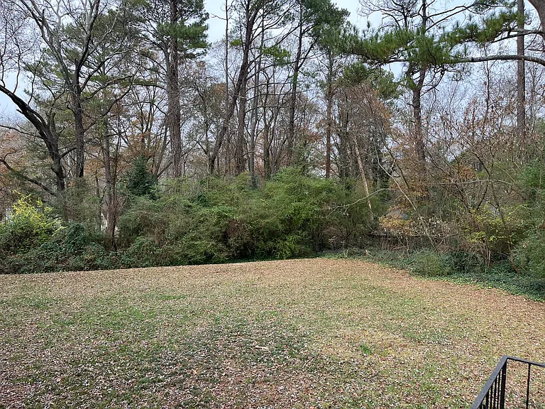 Spacious backyard