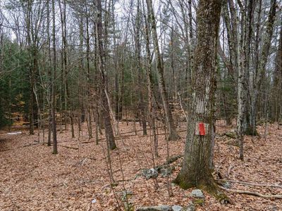 00 Patton Road, Westmoreland, NH, 03467