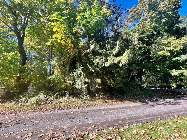 0 APA-Lot 2 Road, Point Roberts, WA 98281