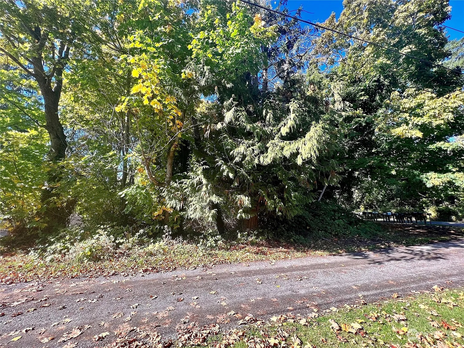 0 APA-Lot 2 Road photo 1