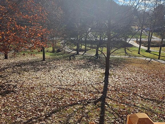 This is your view from the porch at the top of the steps.