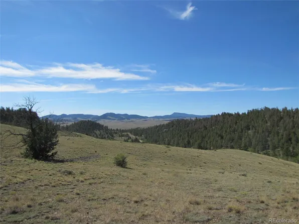 227 Keechi Road, Hartsel, CO 80449