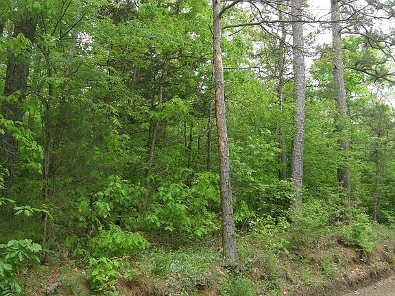 4th image of Polk Road S 1 Tract 72-2