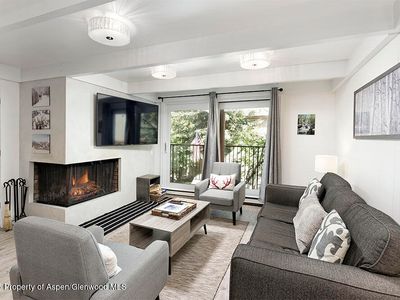 901 E Hyman Ave #9, Aspen, CO, 81611