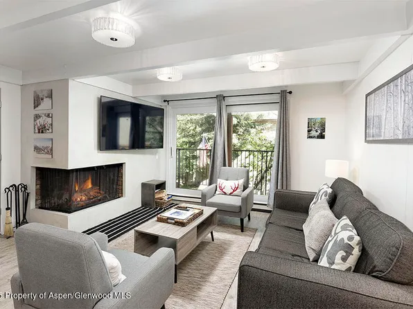 901 E Hyman Ave #9, Aspen, CO 81611