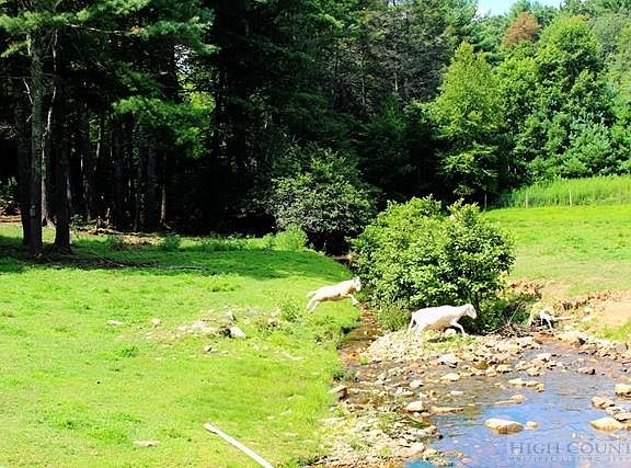 3rd image of 1345 Ebenezer Road