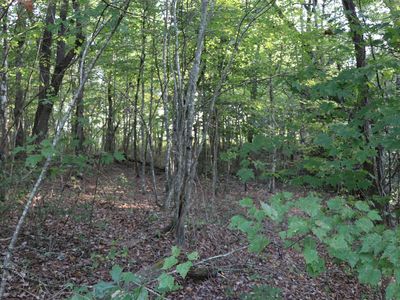 0 Henley Cir, Altamont, TN, 37301