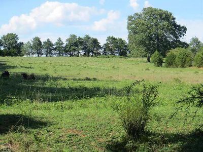 1 Katydid Rd, Camp, AR, 72520