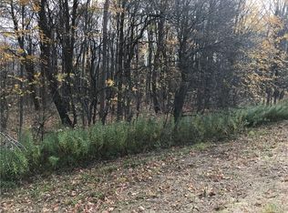 9777 Smith Rd, Boonville, NY 13309