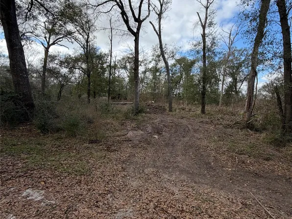 25028 Leitrim St, Hempstead, TX 77445