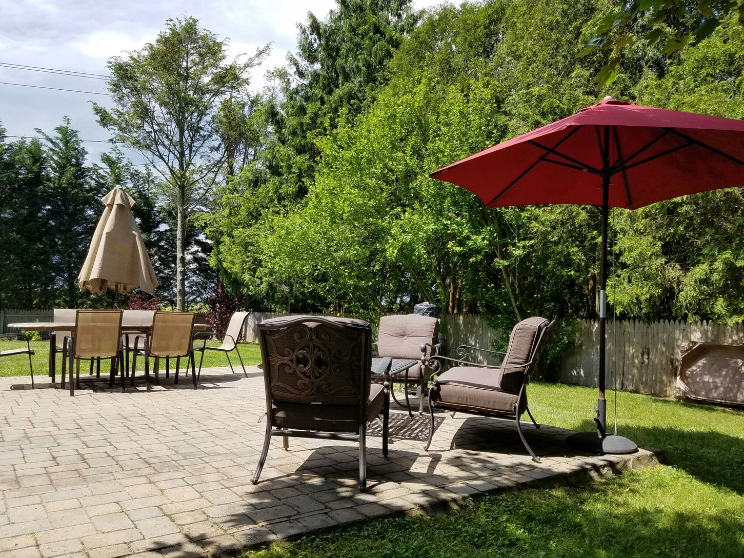  Mature Foliage Surrounds- Sunbathe In Privacy