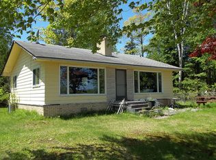 4175 Buena Vista Dr, Greenbush, MI 48738