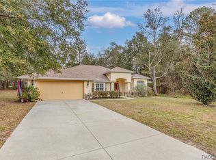 10092 N Wayland Ave, Citrus Springs, FL 34434
