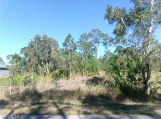 811 Aletha Ave S, Lehigh Acres, FL 33974