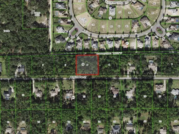 1173 W Olympia St, Hernando, FL 34442