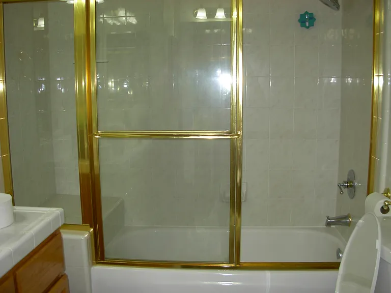Gold plated faucets knobs and shower doors