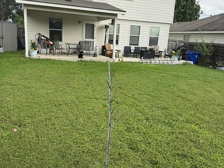 337 Longhorn Way — Photo 4