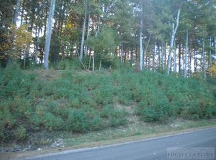 LOT 3 Pine Chas, Glade Valley, NC 28627